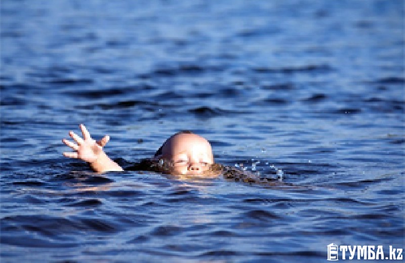 Секс машиналарын қараңыз